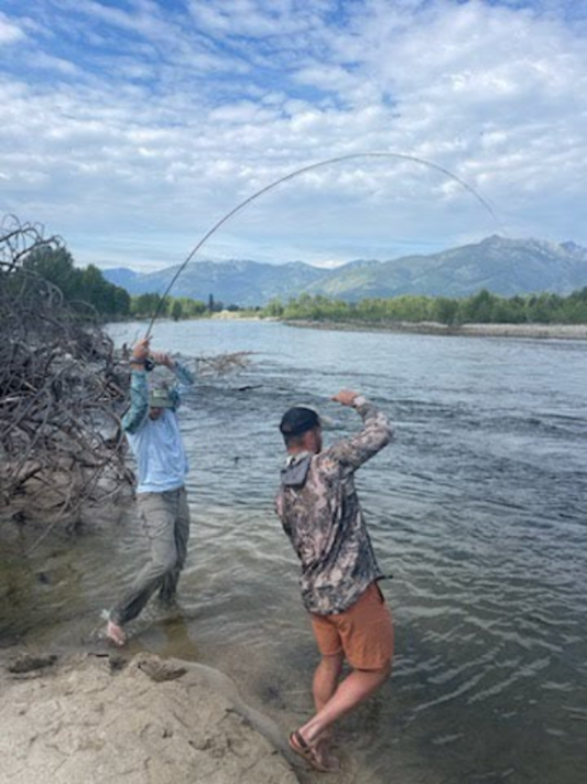 Guided Fly Fishing Walk and Wade (up to 3 people)