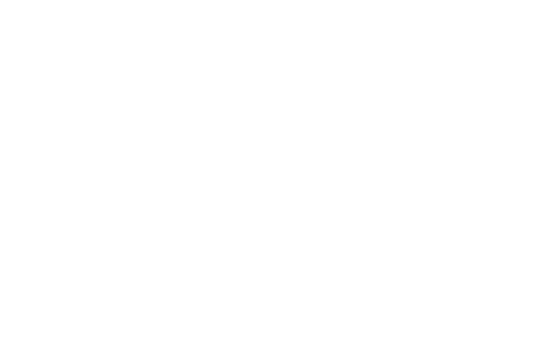 Lazy Bear Outfitters