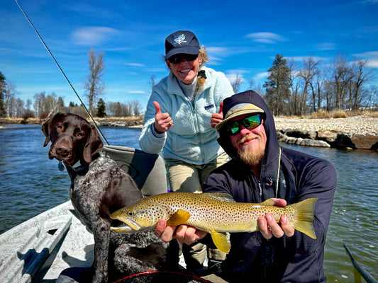 West Fork "Dry Fly Heaven" Guided Trips